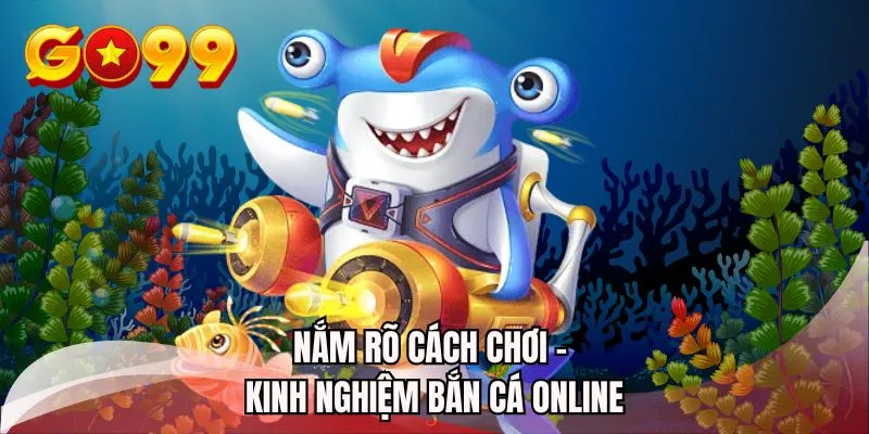Nắm rõ cách chơi - Kinh nghiệm bắn cá online